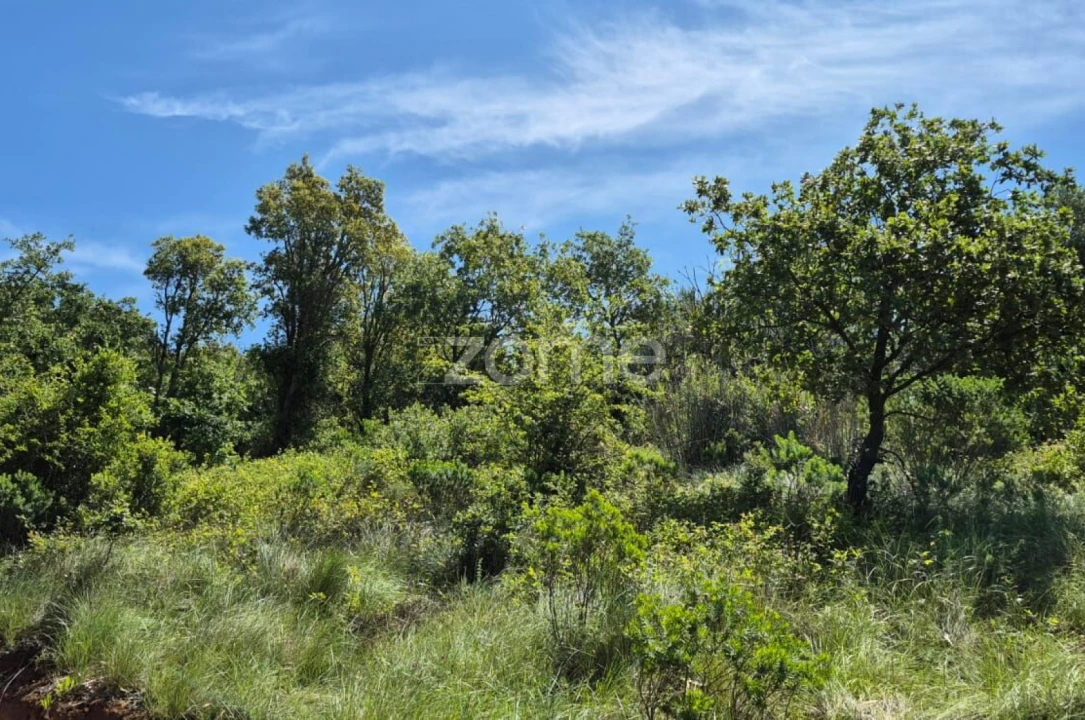 Terreno para Venda em Meca Foto 4