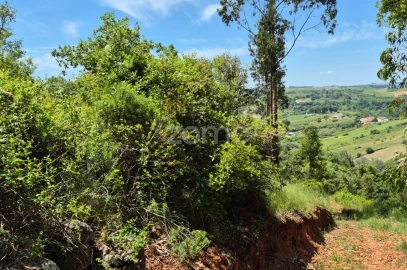 Terreno para Venda em Meca