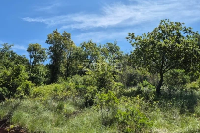Terreno para Venda em Meca
