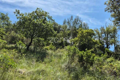 Terreno para Venda em Meca