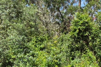 Terreno para Venda em Meca