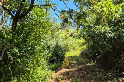 Terreno para Venda em Meca