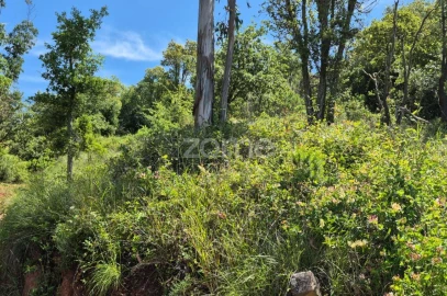 Terreno para Venda em Meca