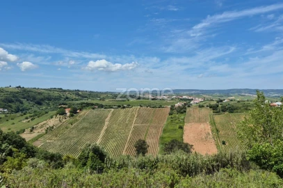 Terreno para Venda em Meca