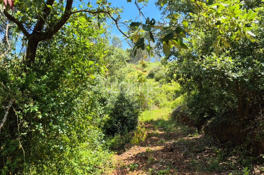 Terreno para Venda em Meca Foto 2