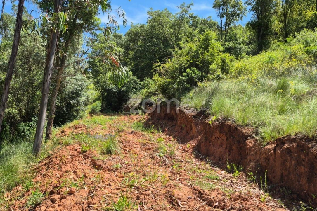 Terreno para Venda em Meca Foto 1