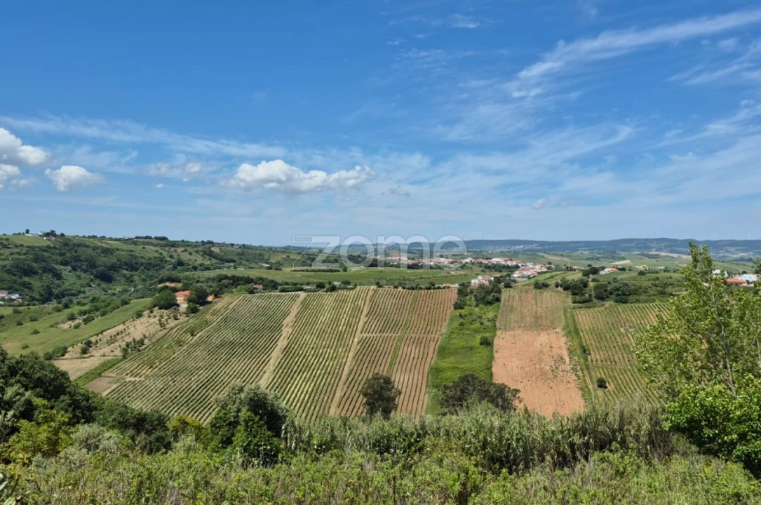Terreno para Venda em Meca Foto 1
