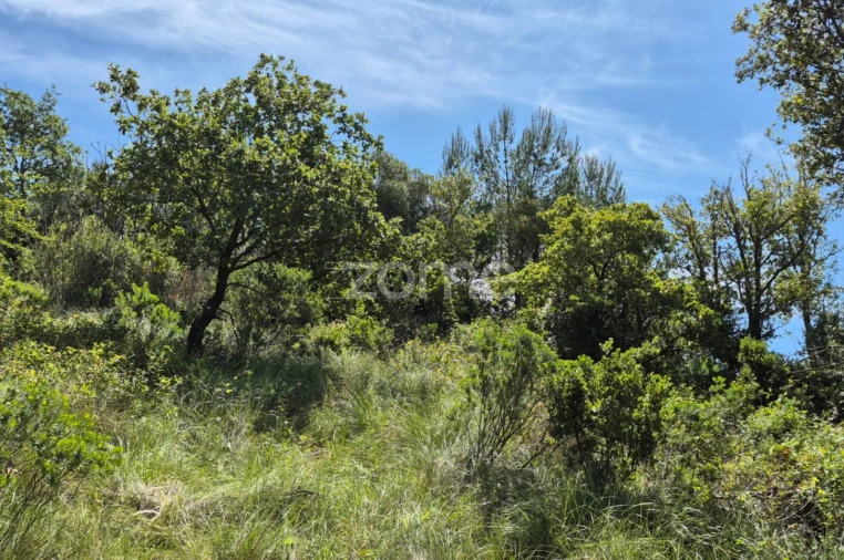 Terreno para Venda em Meca Foto 6
