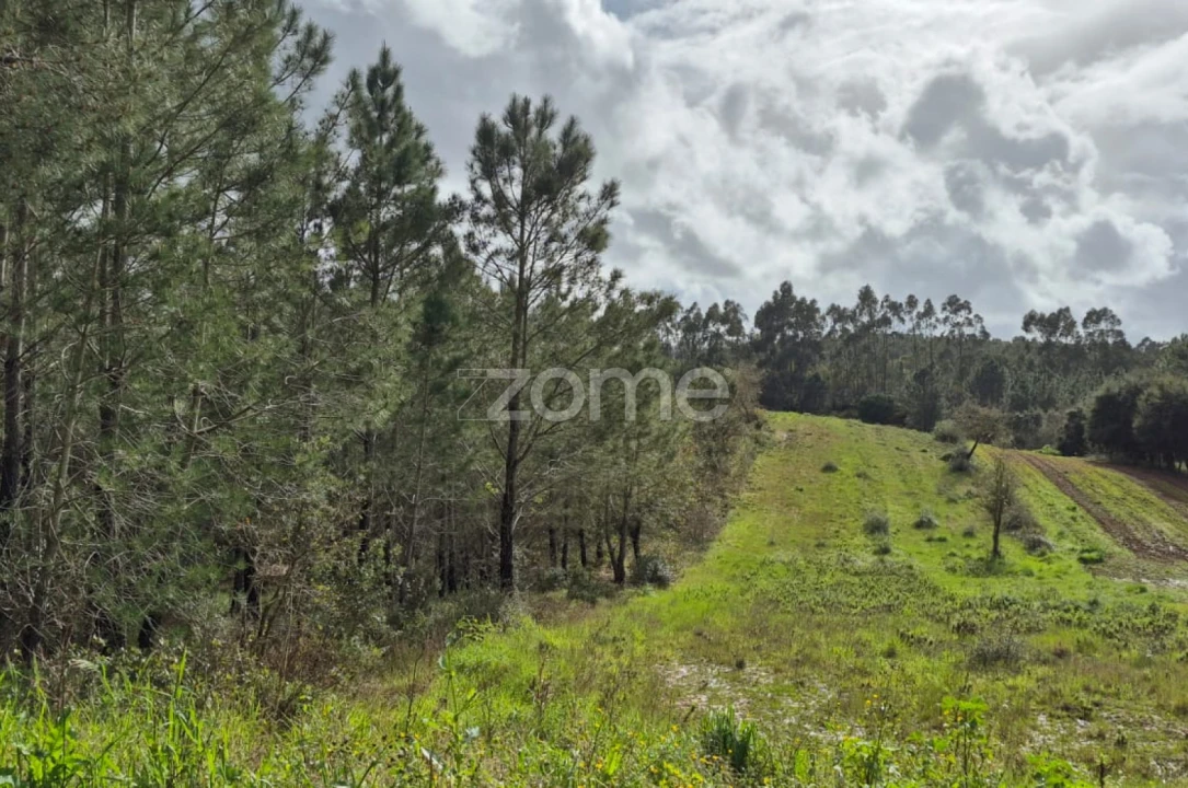 Terreno para Venda em Abrigada e Cabanas de Torres Foto 10