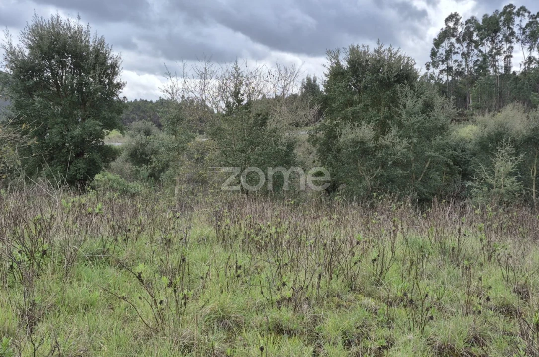 Terreno para Venda em Abrigada e Cabanas de Torres Foto 20