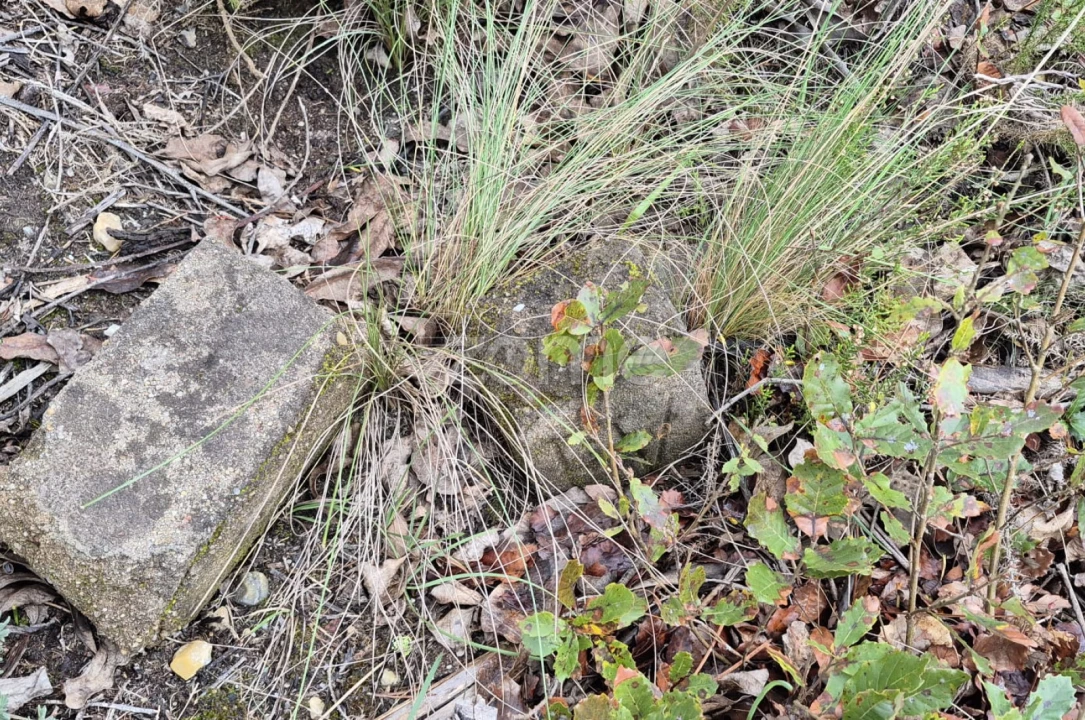 Terreno para Venda em Abrigada e Cabanas de Torres Foto 46