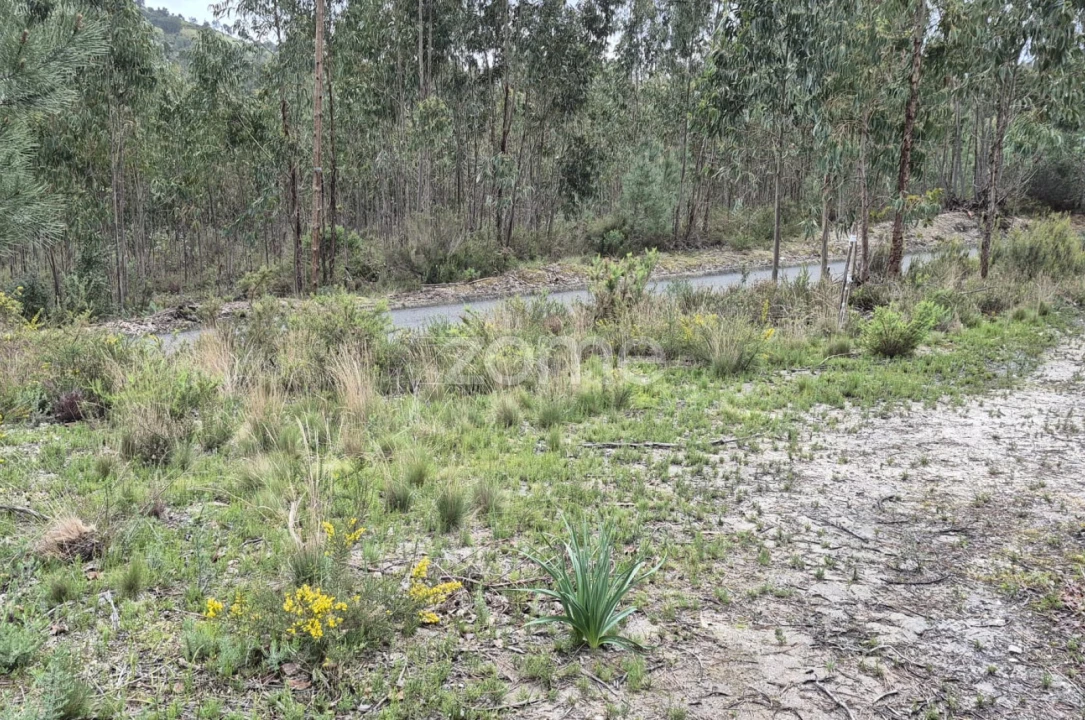 Terreno para Venda em Abrigada e Cabanas de Torres Foto 48