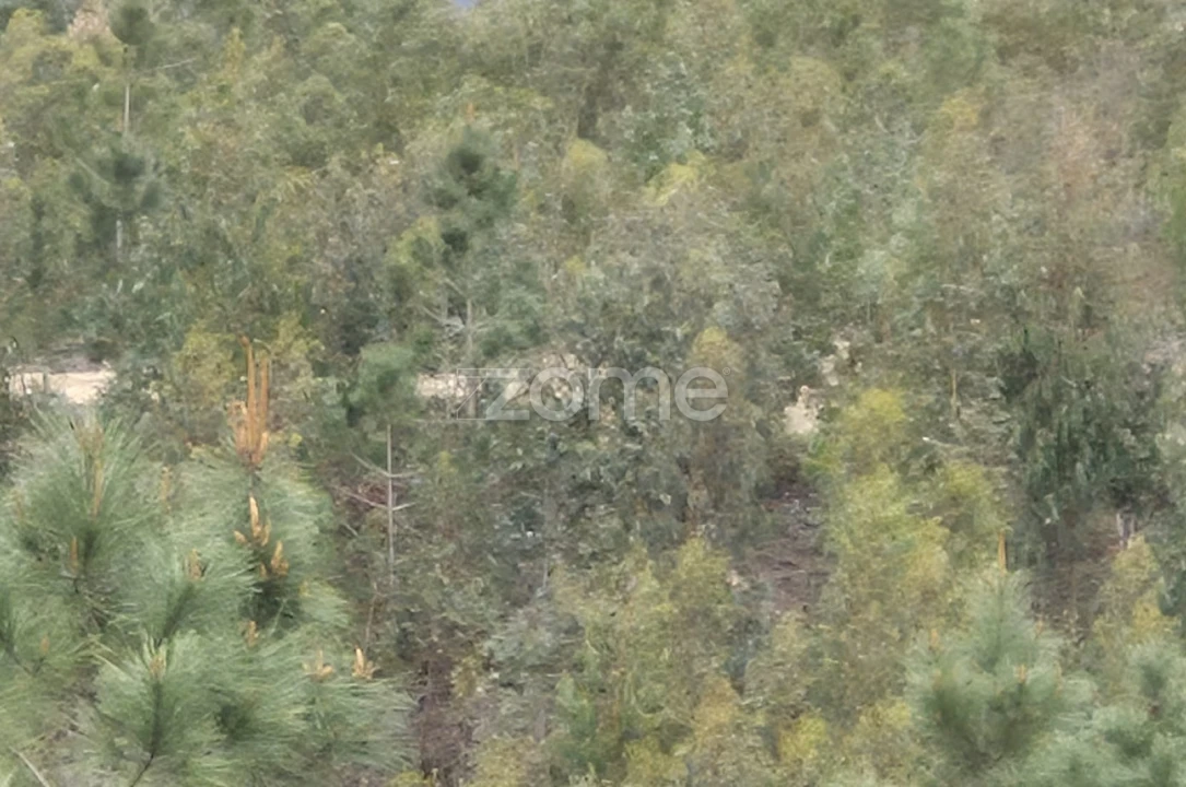 Terreno para Venda em Abrigada e Cabanas de Torres Foto 50