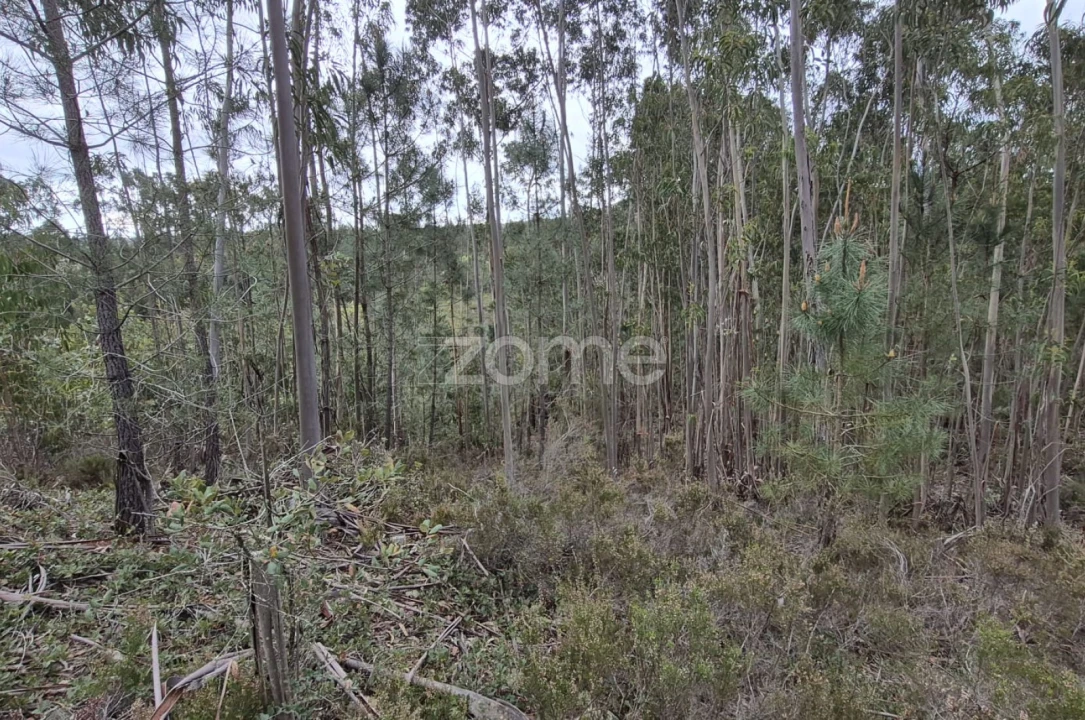 Terreno para Venda em Abrigada e Cabanas de Torres Foto 52