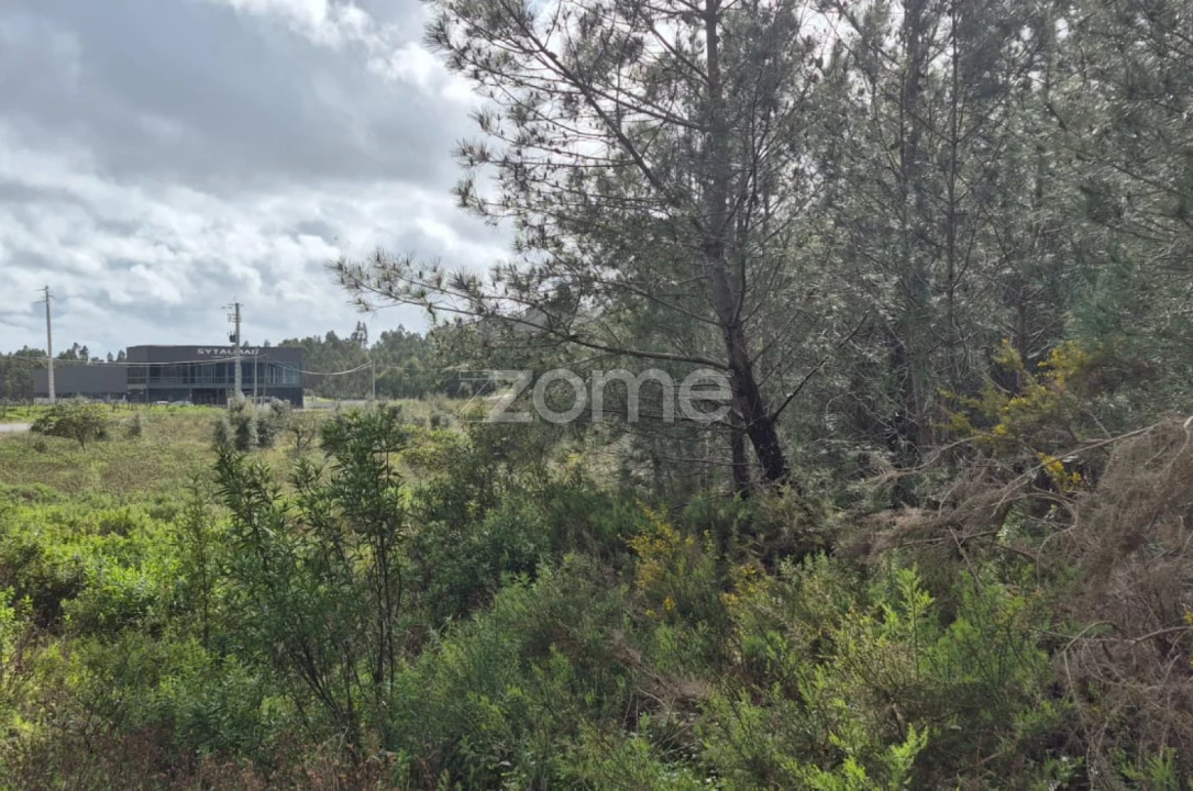 Terreno para Venda em Abrigada e Cabanas de Torres Foto 2