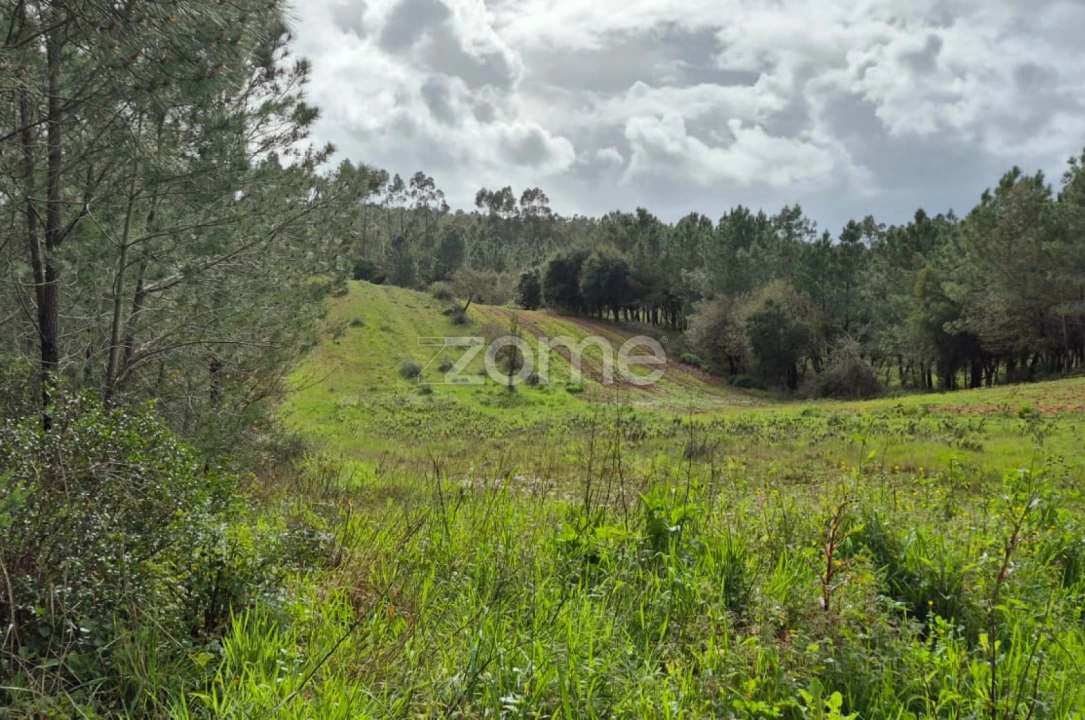 Terreno para Venda em Abrigada e Cabanas de Torres Foto 4