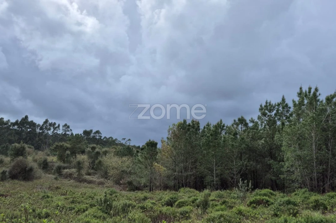 Terreno para Venda em Abrigada e Cabanas de Torres Foto 15