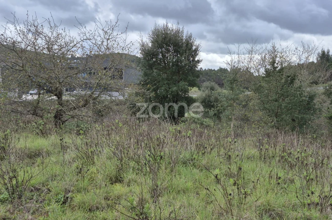 Terreno para Venda em Abrigada e Cabanas de Torres Foto 18