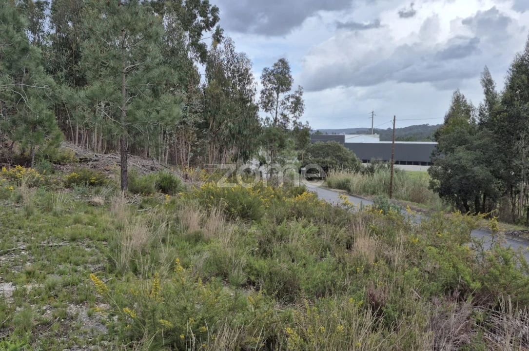 Terreno para Venda em Abrigada e Cabanas de Torres Foto 27