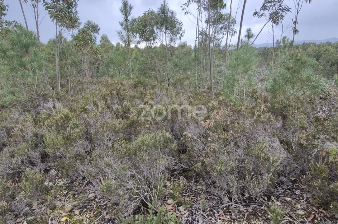 Terreno para Venda em Abrigada e Cabanas de Torres Foto 51