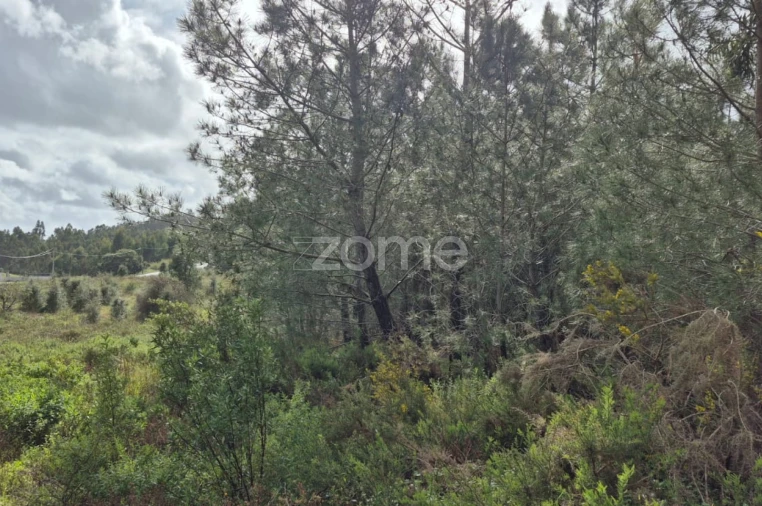 Terreno para Venda em Abrigada e Cabanas de Torres Foto 3