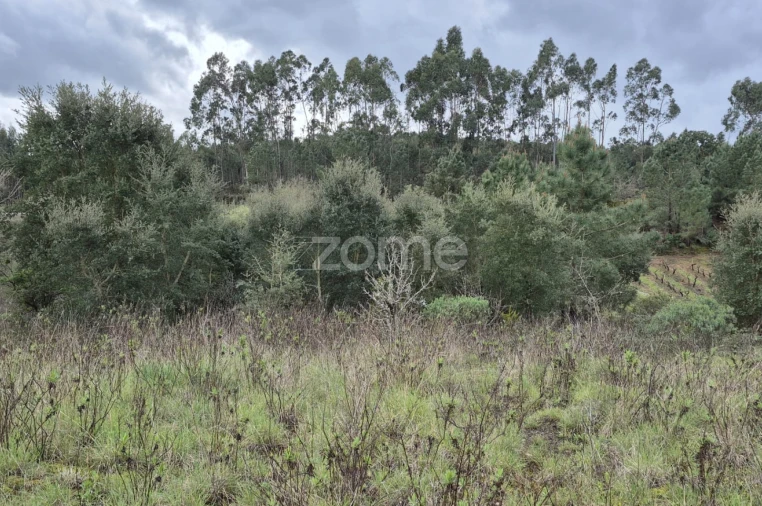 Terreno para Venda em Abrigada e Cabanas de Torres Foto 17