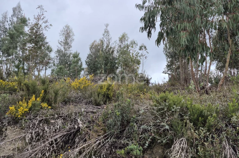 Terreno para Venda em Abrigada e Cabanas de Torres Foto 19