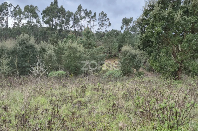 Terreno para Venda em Abrigada e Cabanas de Torres Foto 21