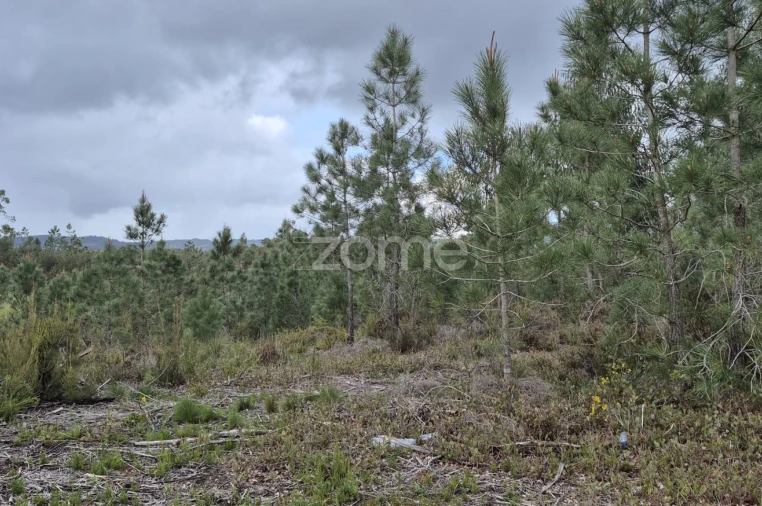 Terreno para Venda em Abrigada e Cabanas de Torres Foto 26