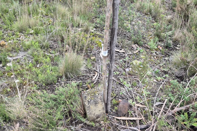 Terreno para Venda em Abrigada e Cabanas de Torres Foto 32