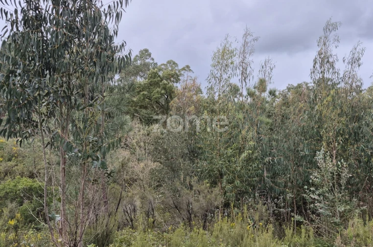 Terreno para Venda em Abrigada e Cabanas de Torres Foto 40