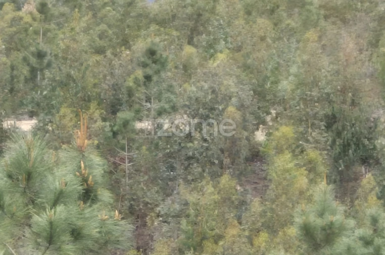 Terreno para Venda em Abrigada e Cabanas de Torres Foto 50