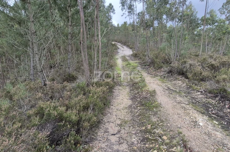 Terreno para Venda em Abrigada e Cabanas de Torres Foto 56