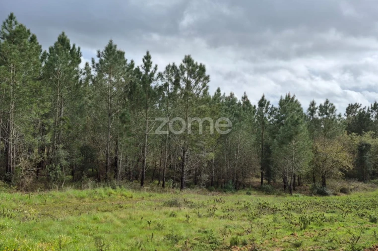 Terreno para Venda em Abrigada e Cabanas de Torres Foto 13
