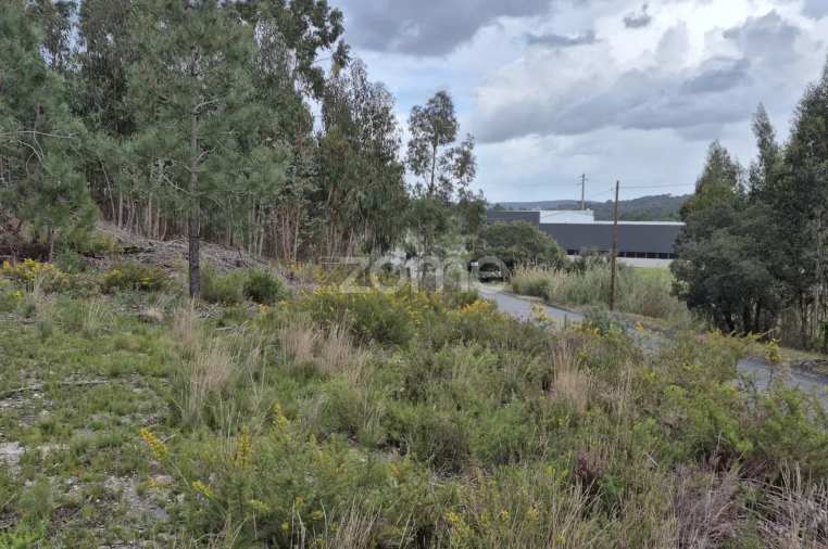 Terreno para Venda em Abrigada e Cabanas de Torres Foto 27