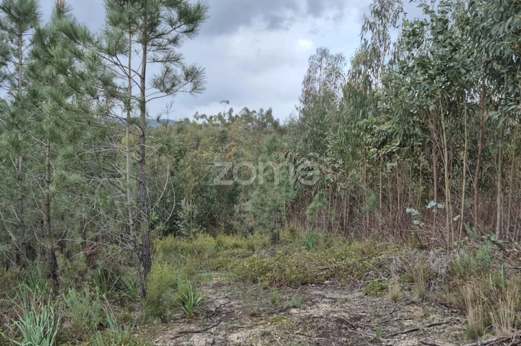 Terreno para Venda em Abrigada e Cabanas de Torres Foto 33