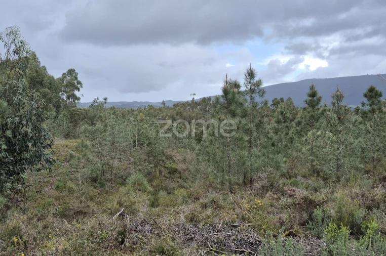 Terreno para Venda em Abrigada e Cabanas de Torres Foto 47