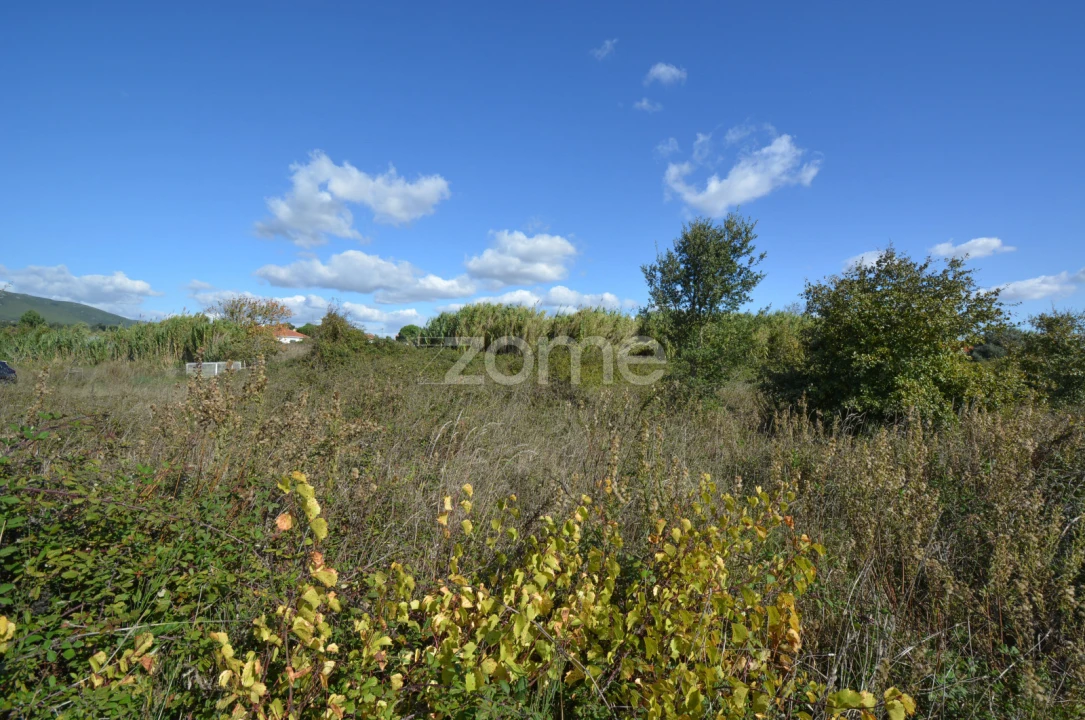 Terreno para Venda em Abrigada e Cabanas de Torres Foto 2