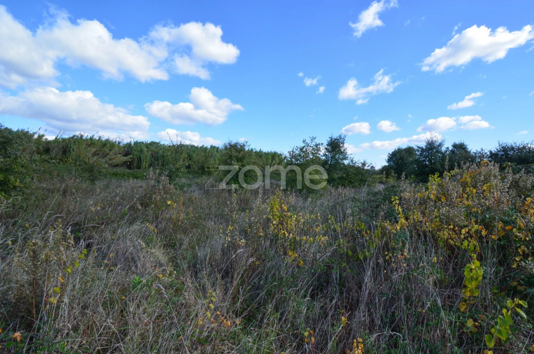 Terreno para Venda em Abrigada e Cabanas de Torres Foto 5