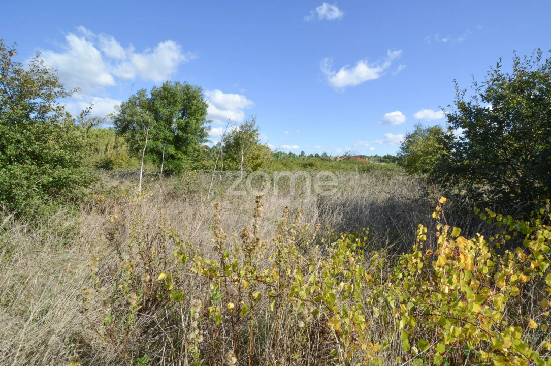Terreno para Venda em Abrigada e Cabanas de Torres Foto 6