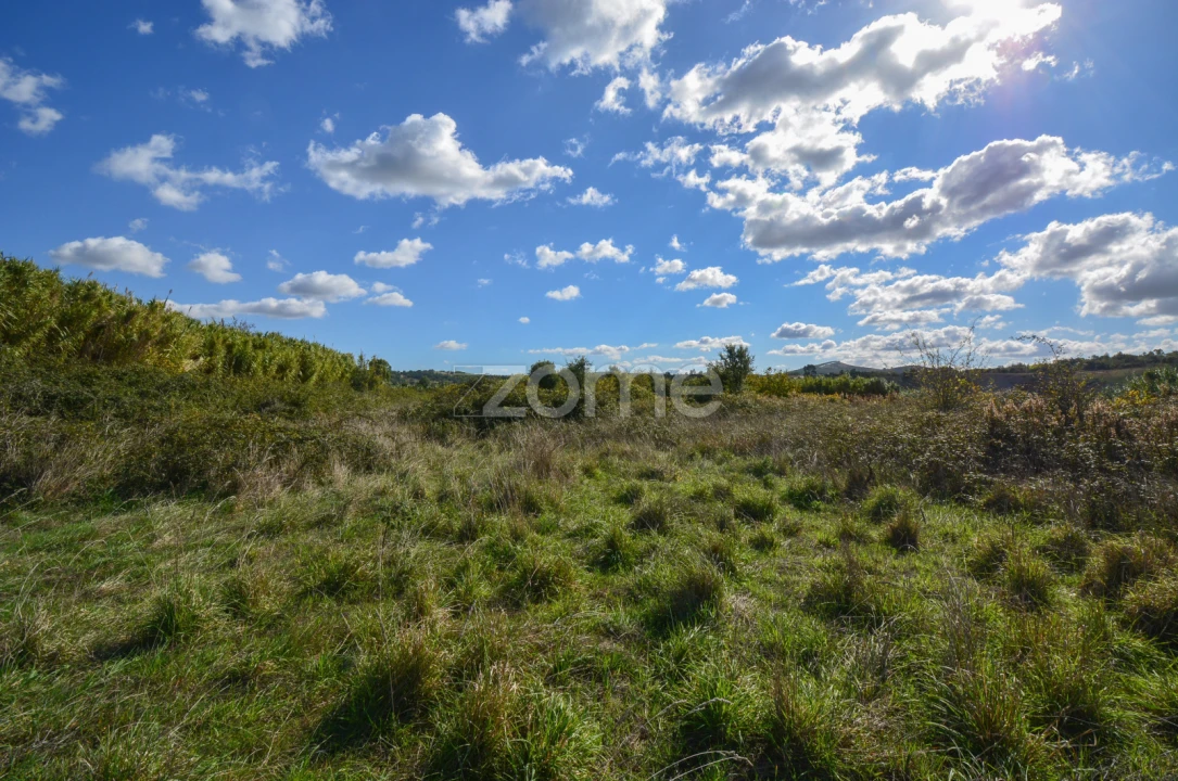 Terreno para Venda em Abrigada e Cabanas de Torres Foto 7