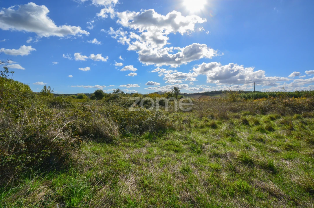 Terreno para Venda em Abrigada e Cabanas de Torres Foto 9