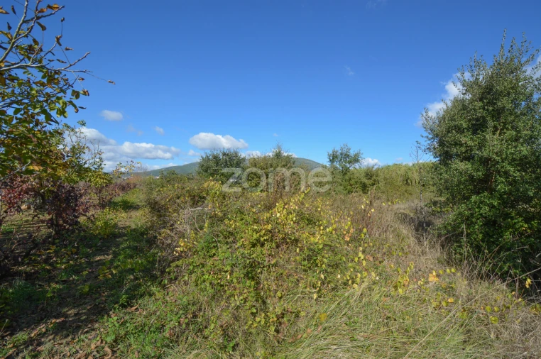 Terreno para Venda em Abrigada e Cabanas de Torres Foto 3