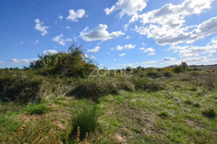 Terreno para Venda em Abrigada e Cabanas de Torres Foto 8