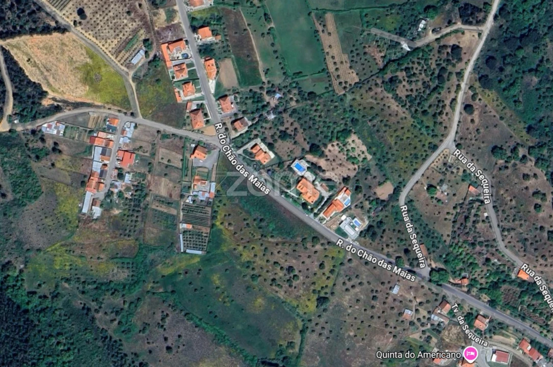 Terreno para Venda em Sardoal Foto 7