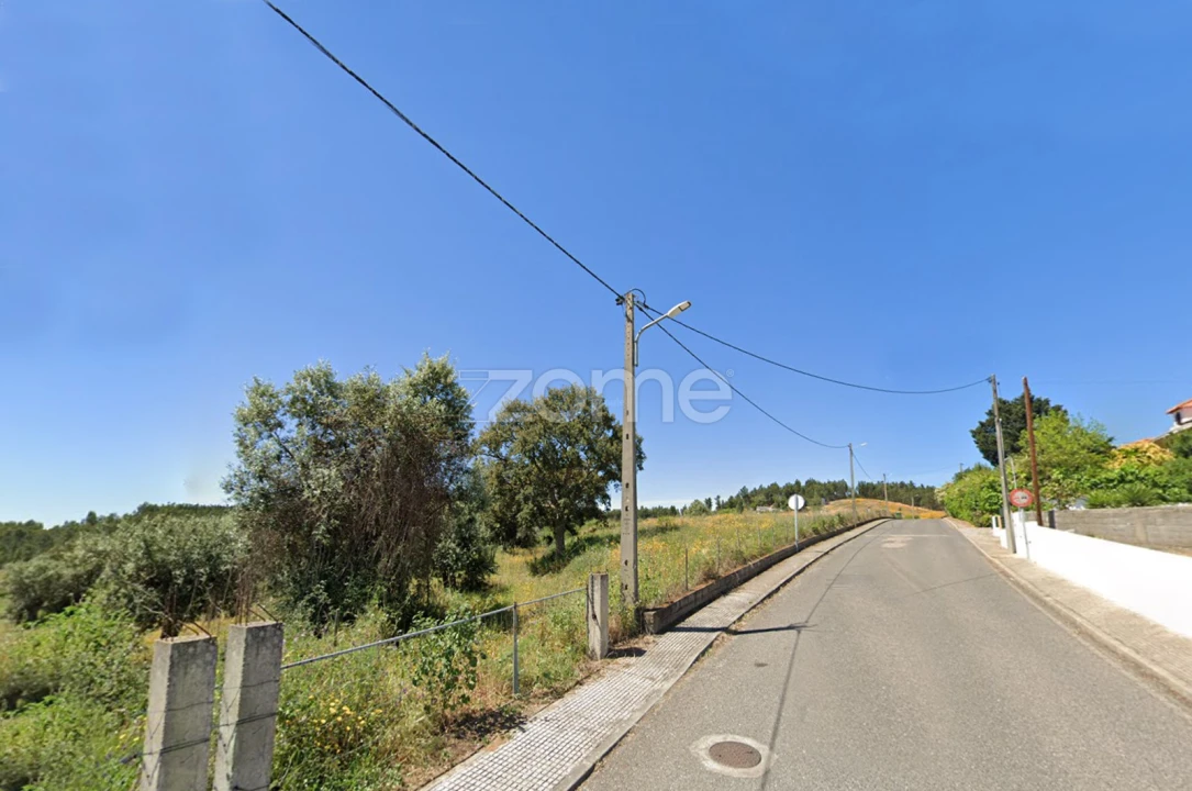 Terreno para Venda em Sardoal Foto 6