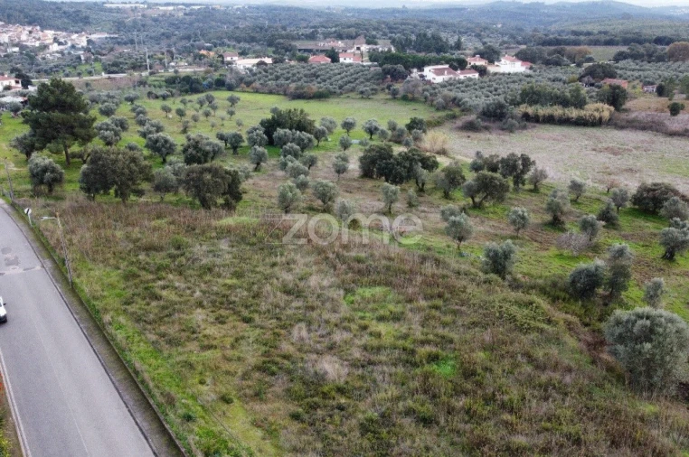 Terreno para Venda em Sardoal