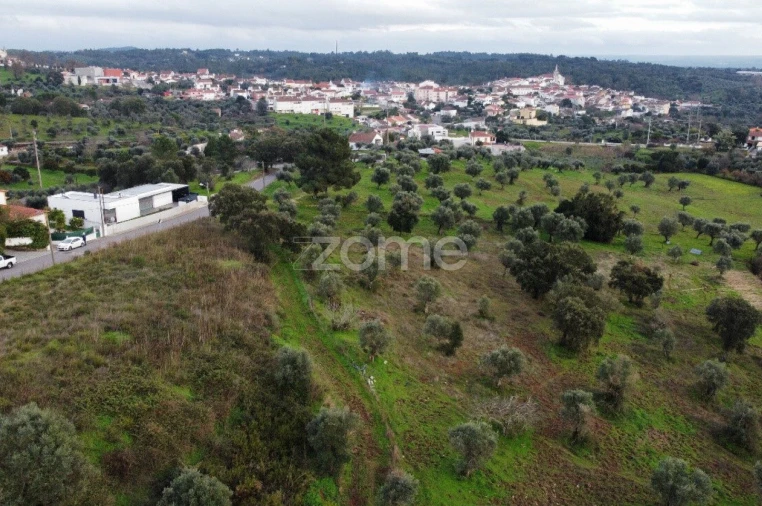 Terreno para Venda em Sardoal Foto 3