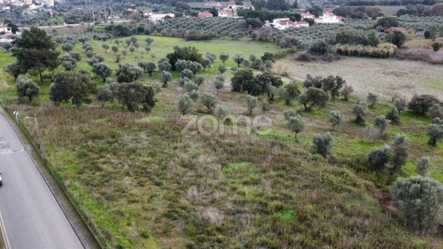 Terreno para Venda em Sardoal