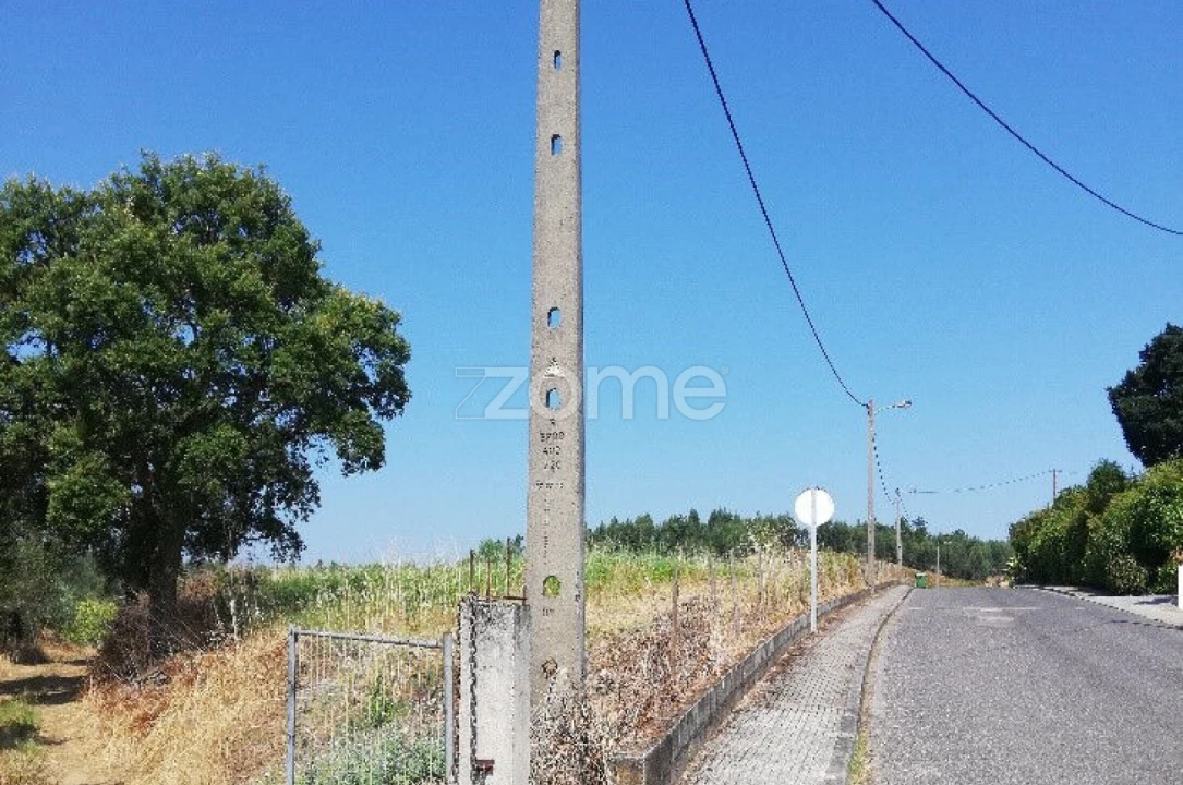 Terreno para Venda em Sardoal Foto 5